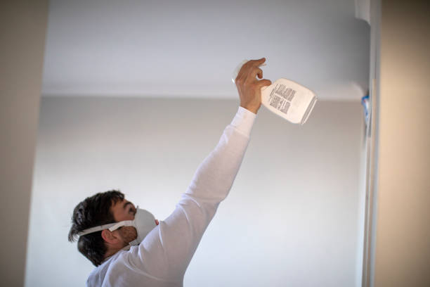 Best Toxic Mold Removal  in Roscoe, IL