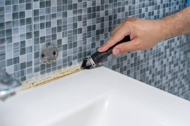  Roscoe, IL Mold Removal Pros